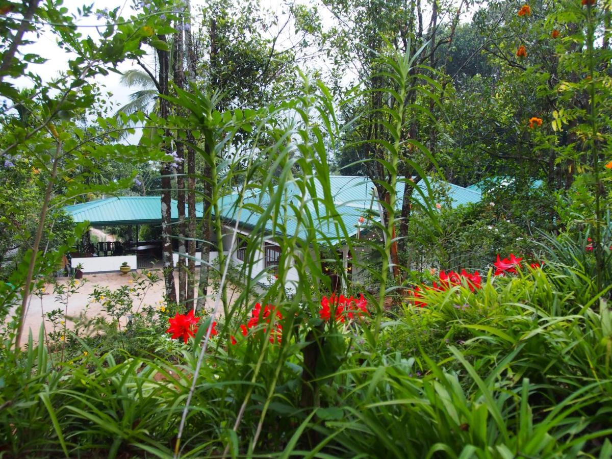 Tearamb Holiday Bungalow Otalawa Екстериор снимка