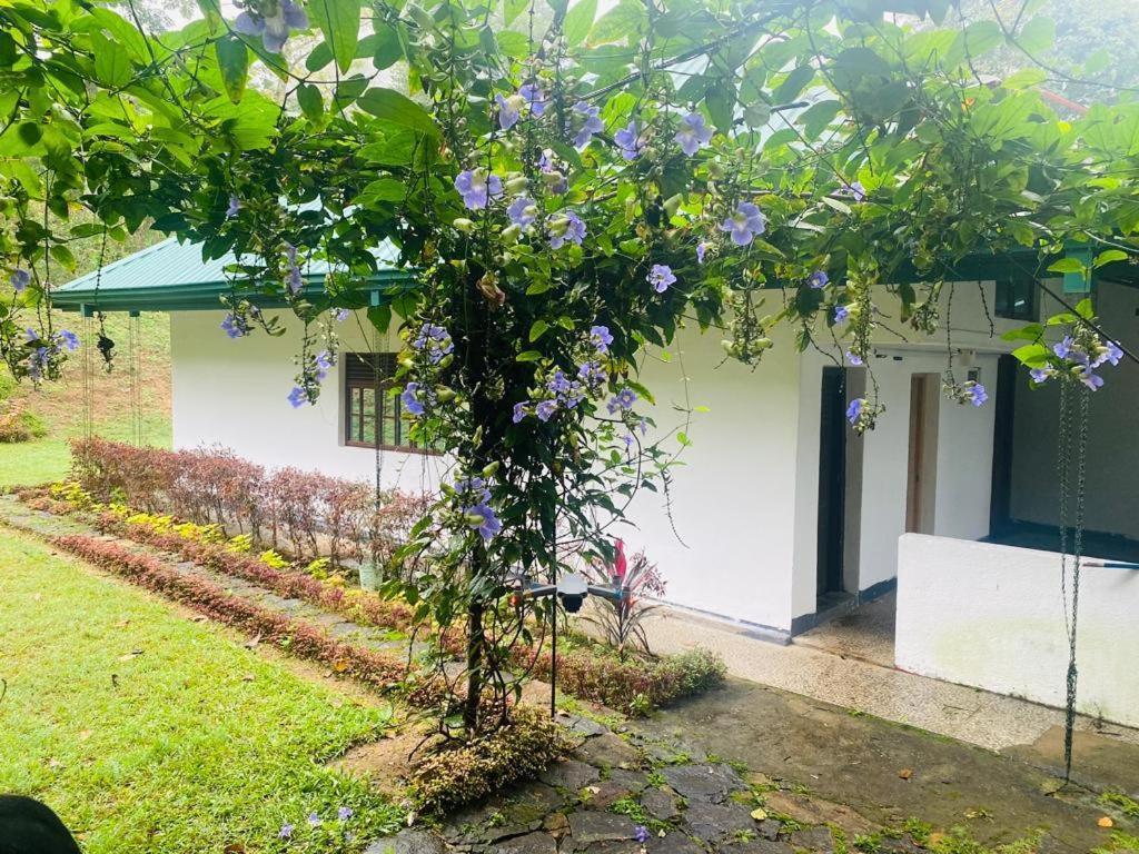 Tearamb Holiday Bungalow Otalawa Екстериор снимка